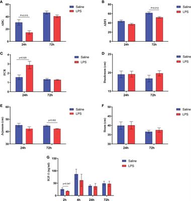 Lipopolysaccharide-induced immune stress negatively regulates broiler chicken growth via the COX-2-PGE2-EP4 signaling pathway